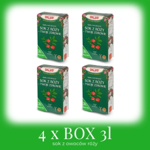 Pakiet 4x Róża BOX 3l sok 100% 
