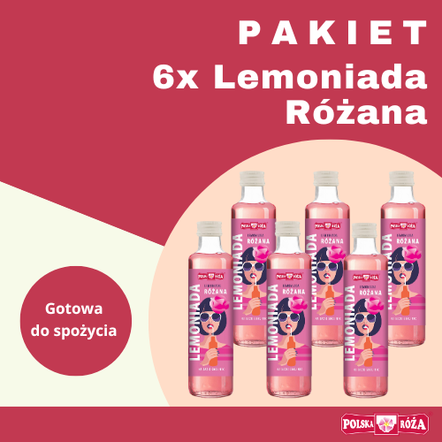 Na tle w odcieniach czerwieni i beżu umieszczono  "PAKIET 6 butelek lemoniady różanej”